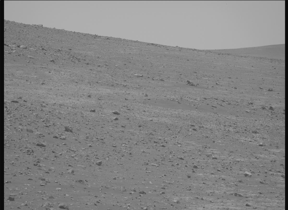 This image was taken by MCZ_RIGHT onboard NASA's Mars rover Perseverance on Sol 1443