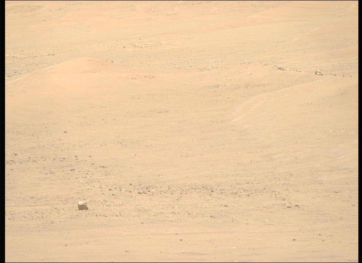 This image was taken by MCZ_RIGHT onboard NASA's Mars rover Perseverance on Sol 1443