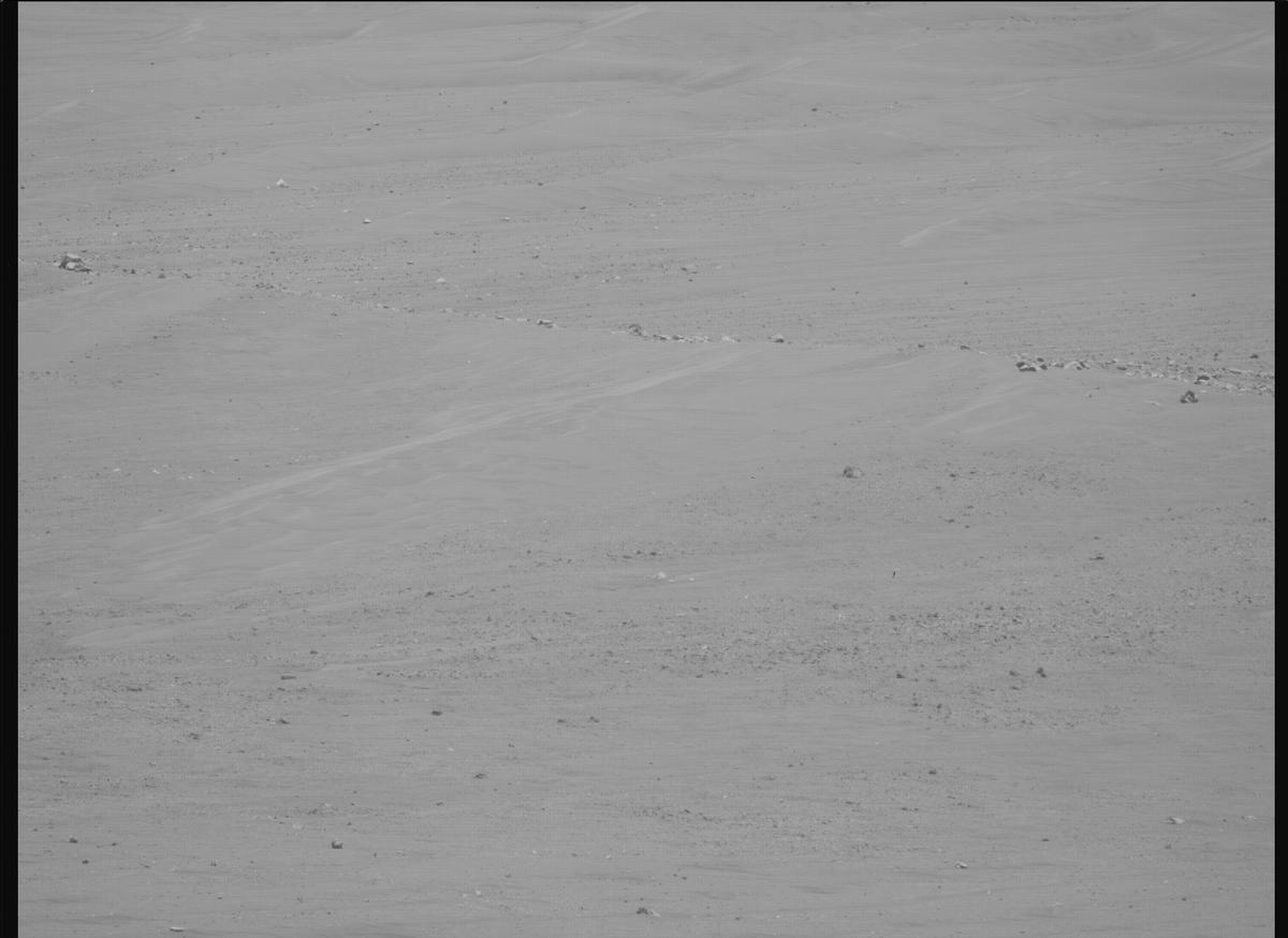 This image was taken by MCZ_RIGHT onboard NASA's Mars rover Perseverance on Sol 1443