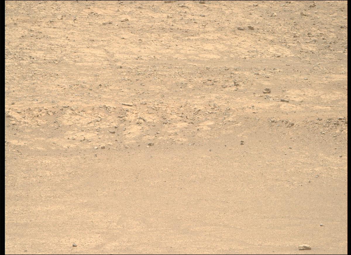 This image was taken by MCZ_RIGHT onboard NASA's Mars rover Perseverance on Sol 1443
