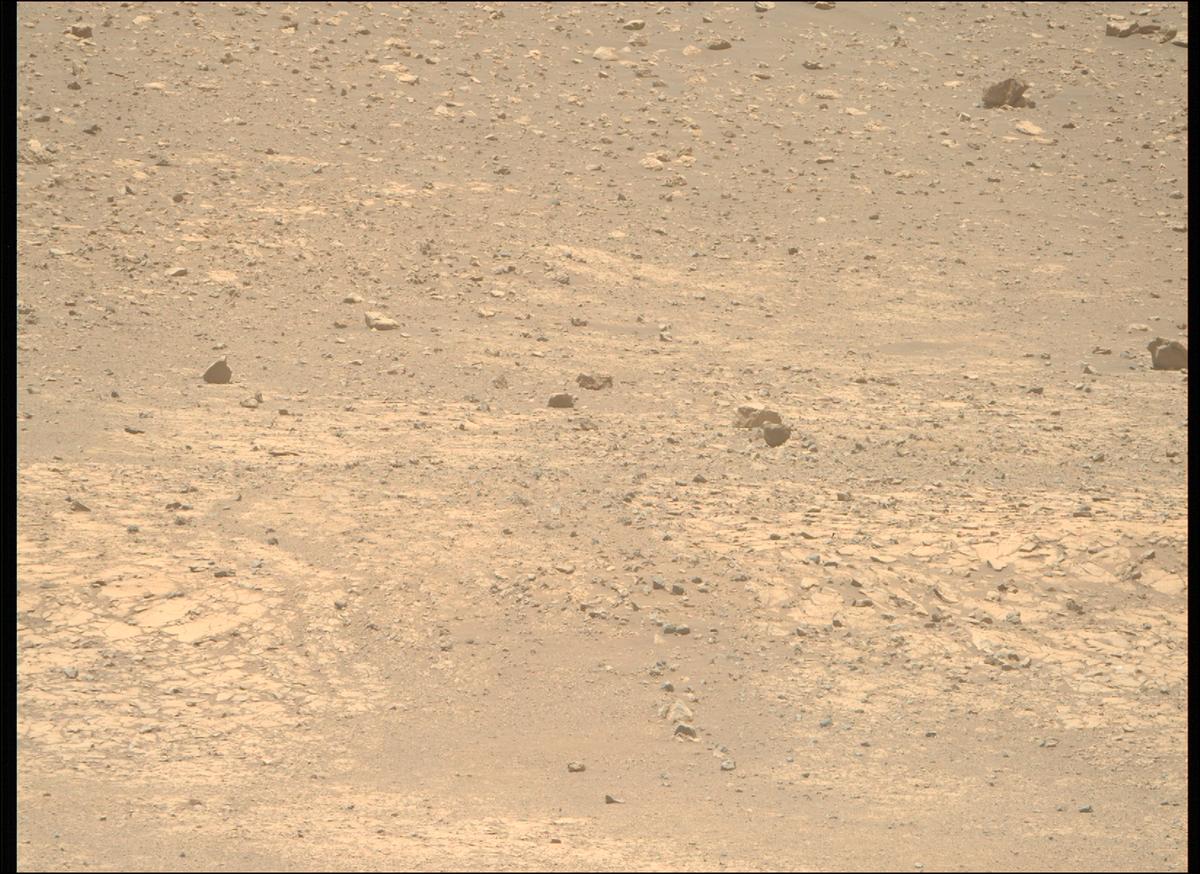 This image was taken by MCZ_RIGHT onboard NASA's Mars rover Perseverance on Sol 1443