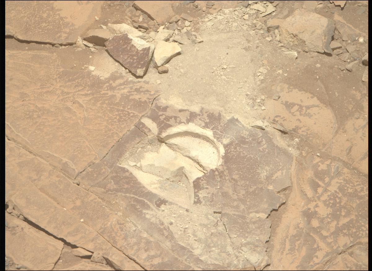 This image was taken by MCZ_RIGHT onboard NASA's Mars rover Perseverance on Sol 1443