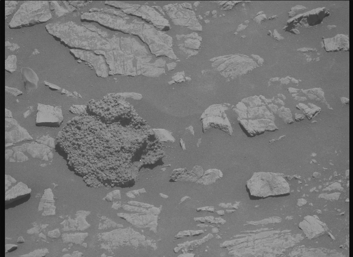 This image was taken by MCZ_RIGHT onboard NASA's Mars rover Perseverance on Sol 1443