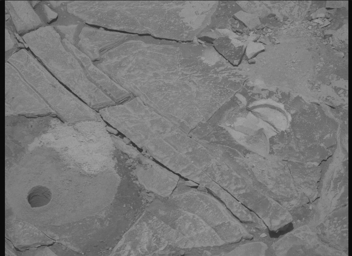 This image was taken by MCZ_RIGHT onboard NASA's Mars rover Perseverance on Sol 1443