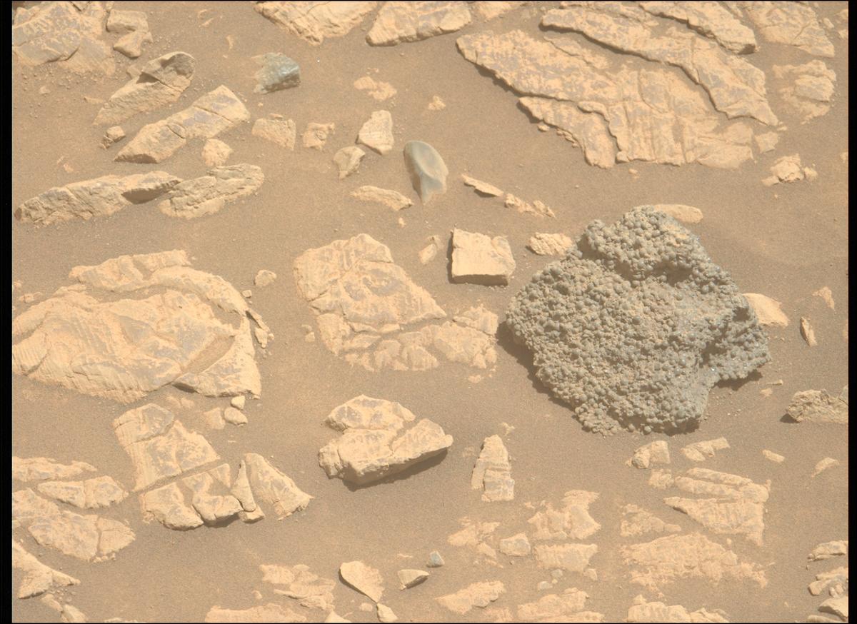 This image was taken by MCZ_LEFT onboard NASA's Mars rover Perseverance on Sol 1444