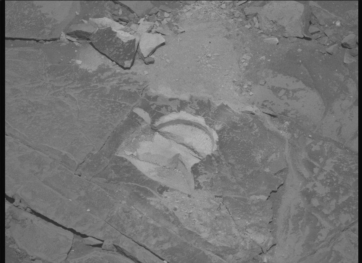 This image was taken by MCZ_LEFT onboard NASA's Mars rover Perseverance on Sol 1444