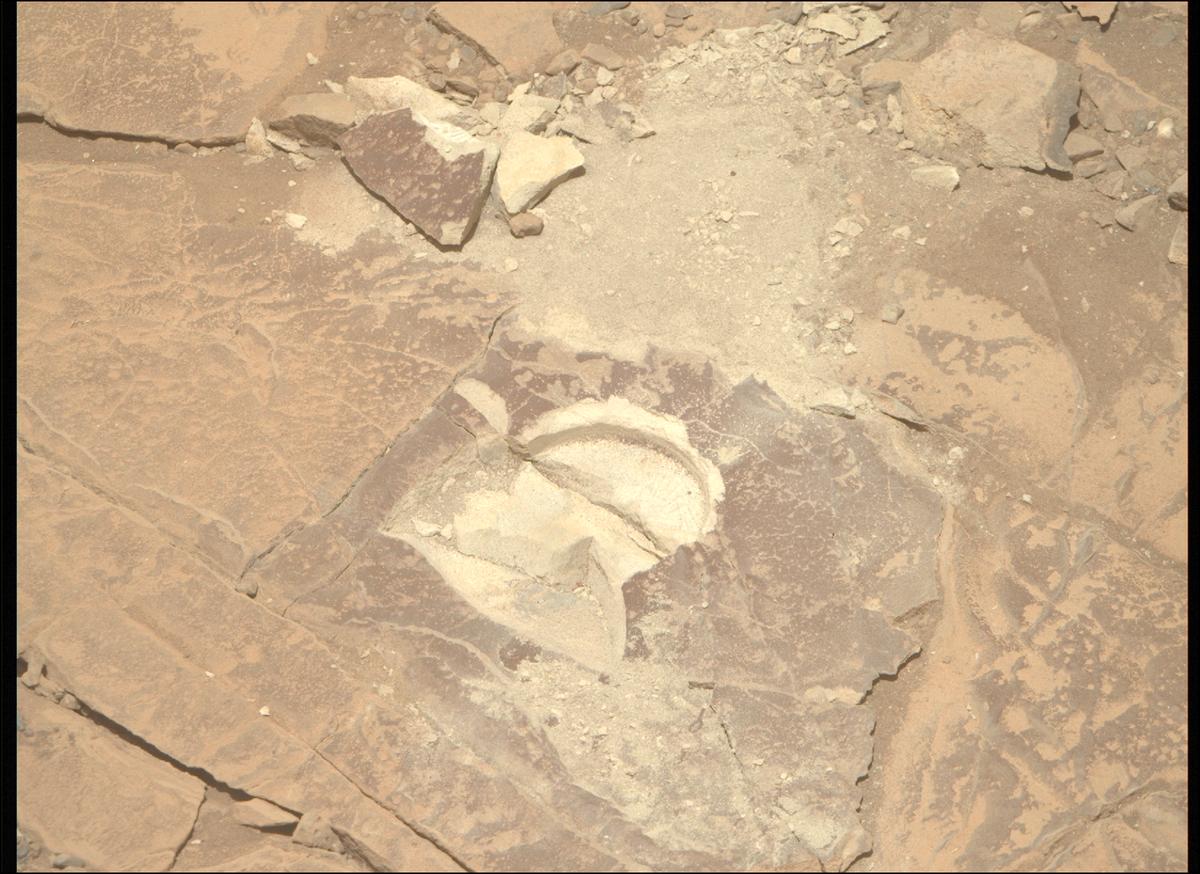 This image was taken by MCZ_RIGHT onboard NASA's Mars rover Perseverance on Sol 1444