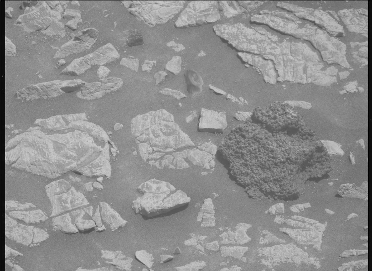 This image was taken by MCZ_RIGHT onboard NASA's Mars rover Perseverance on Sol 1444