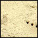 This image was taken by MCZ_LEFT onboard NASA's Mars rover Perseverance on Sol 1445