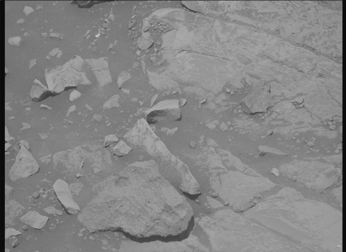 This image was taken by MCZ_RIGHT onboard NASA's Mars rover Perseverance on Sol 1445