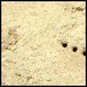 View image taken on Mars, Mars Perseverance Sol 1445: Right Mastcam-Z Camera