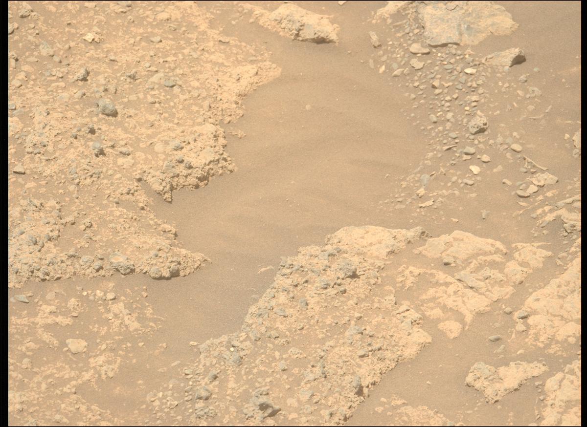 This image was taken by MCZ_LEFT onboard NASA's Mars rover Perseverance on Sol 1446