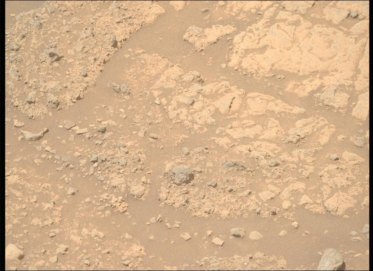 This image was taken by MCZ_RIGHT onboard NASA's Mars rover Perseverance on Sol 1446