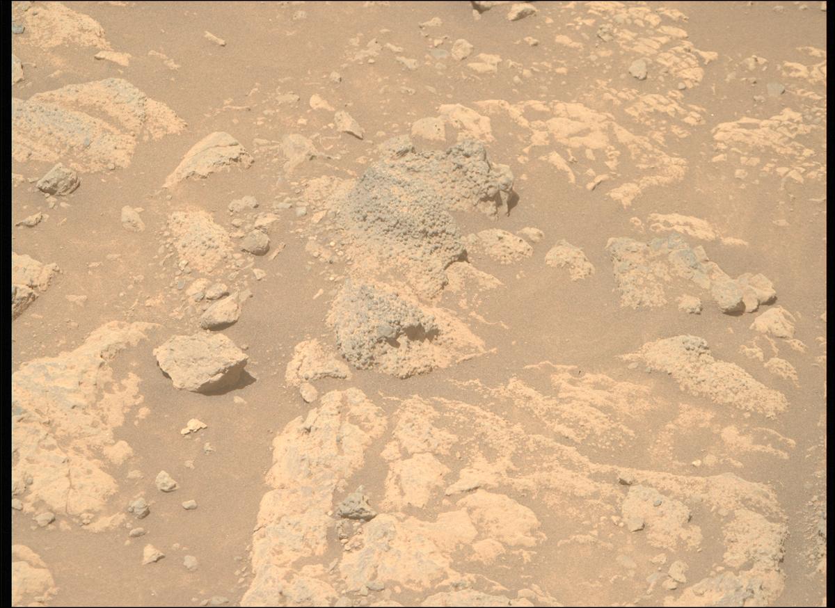 This image was taken by MCZ_RIGHT onboard NASA's Mars rover Perseverance on Sol 1446