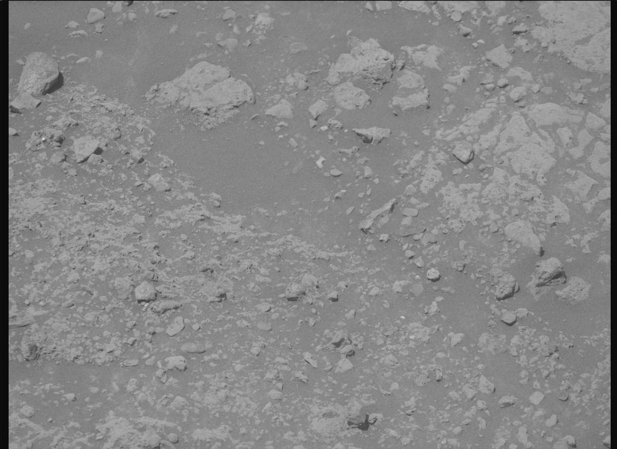 This image was taken by MCZ_RIGHT onboard NASA's Mars rover Perseverance on Sol 1446