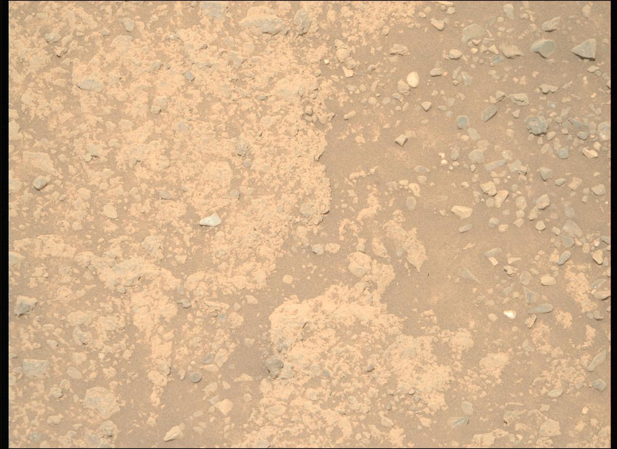 This image was taken by MCZ_RIGHT onboard NASA's Mars rover Perseverance on Sol 1446