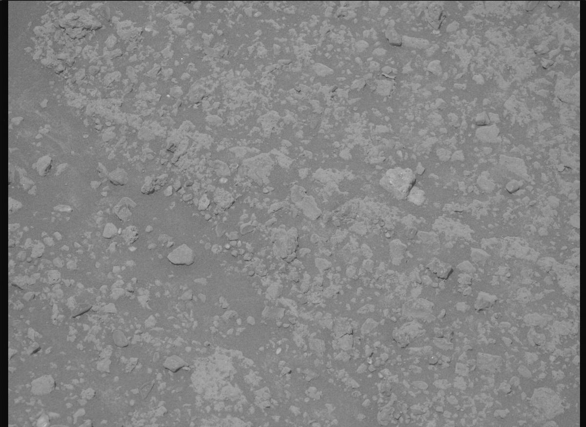 This image was taken by MCZ_RIGHT onboard NASA's Mars rover Perseverance on Sol 1446