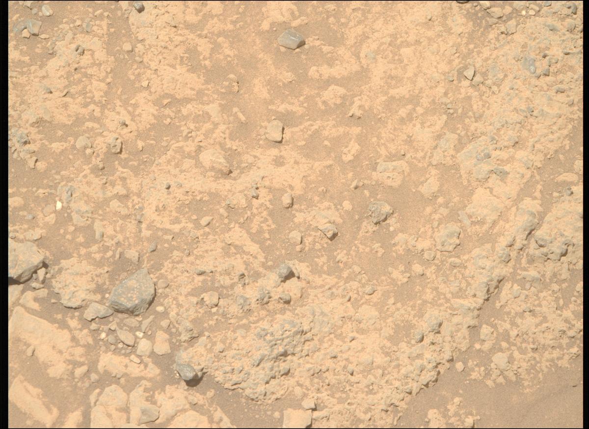 This image was taken by MCZ_RIGHT onboard NASA's Mars rover Perseverance on Sol 1446