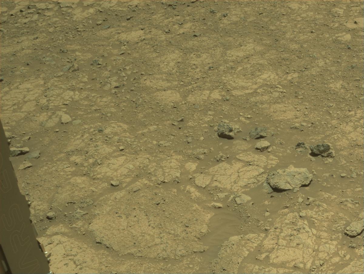 This image was taken by NAVCAM_LEFT onboard NASA's Mars rover Perseverance on Sol 1447