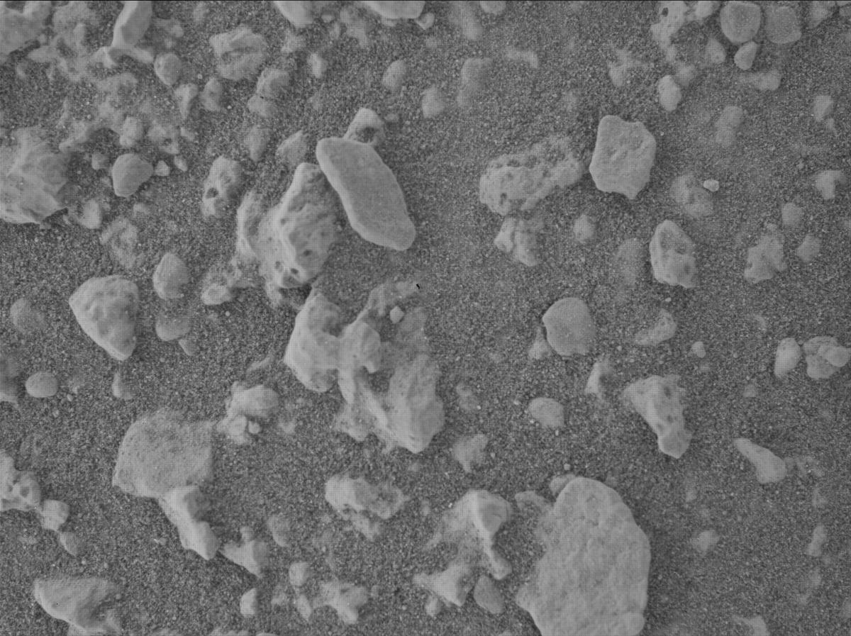 This image was taken by SHERLOC_WATSON onboard NASA's Mars rover Perseverance on Sol 1447