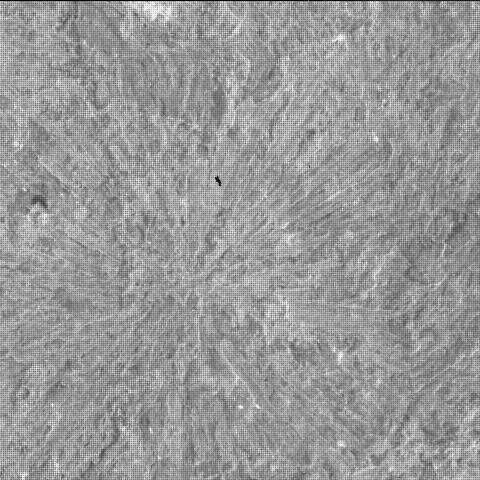 This image was taken by SHERLOC_WATSON onboard NASA's Mars rover Perseverance on Sol 1447