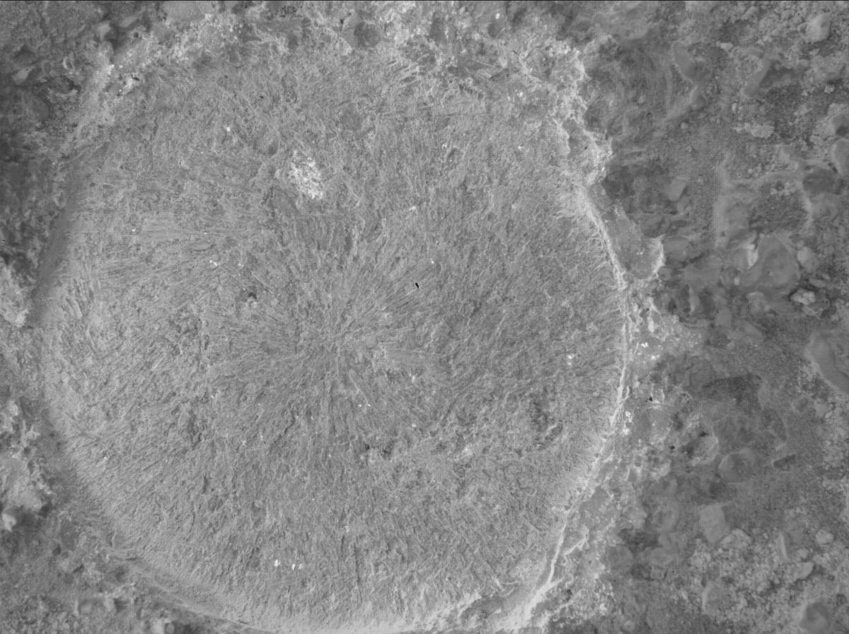 This image was taken by SHERLOC_WATSON onboard NASA's Mars rover Perseverance on Sol 1447
