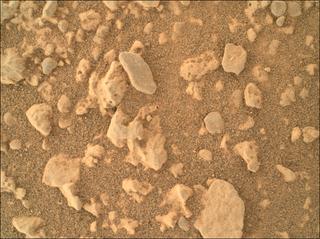 View image taken on Mars, Mars Perseverance Sol 1447: WATSON Camera 