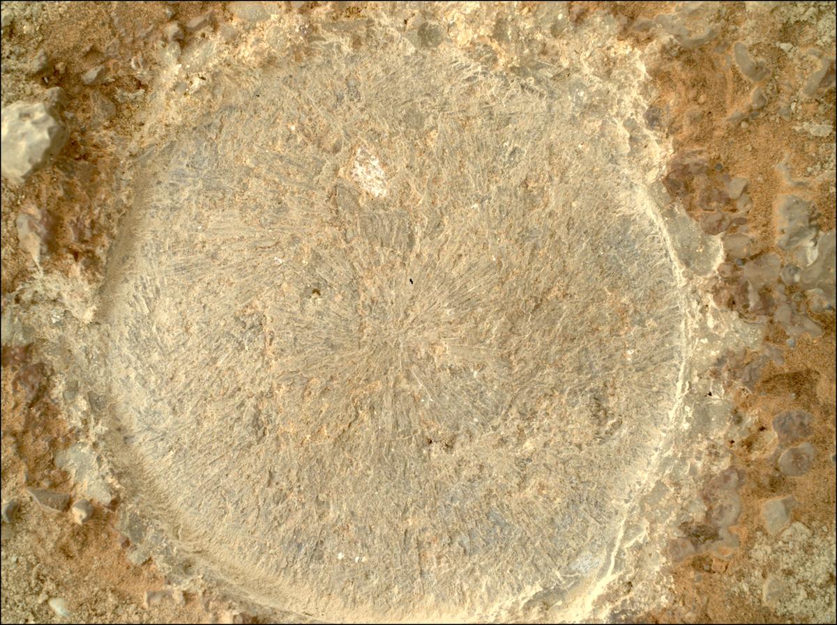 This image was taken by SHERLOC_WATSON onboard NASA's Mars rover Perseverance on Sol 1447