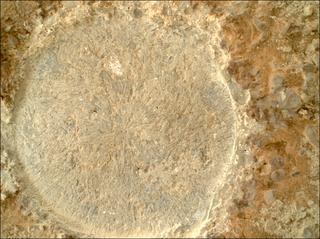 View image taken on Mars, Mars Perseverance Sol 1447: WATSON Camera 