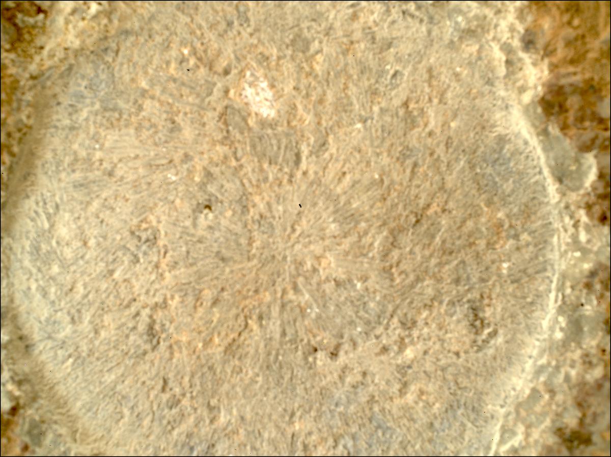 This image was taken by SHERLOC_WATSON onboard NASA's Mars rover Perseverance on Sol 1447
