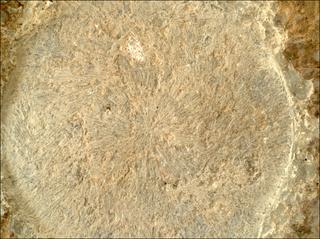 View image taken on Mars, Mars Perseverance Sol 1447: WATSON Camera 