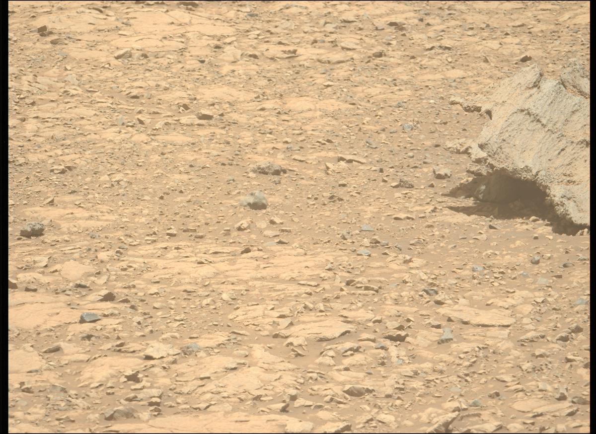 This image was taken by MCZ_LEFT onboard NASA's Mars rover Perseverance on Sol 1448