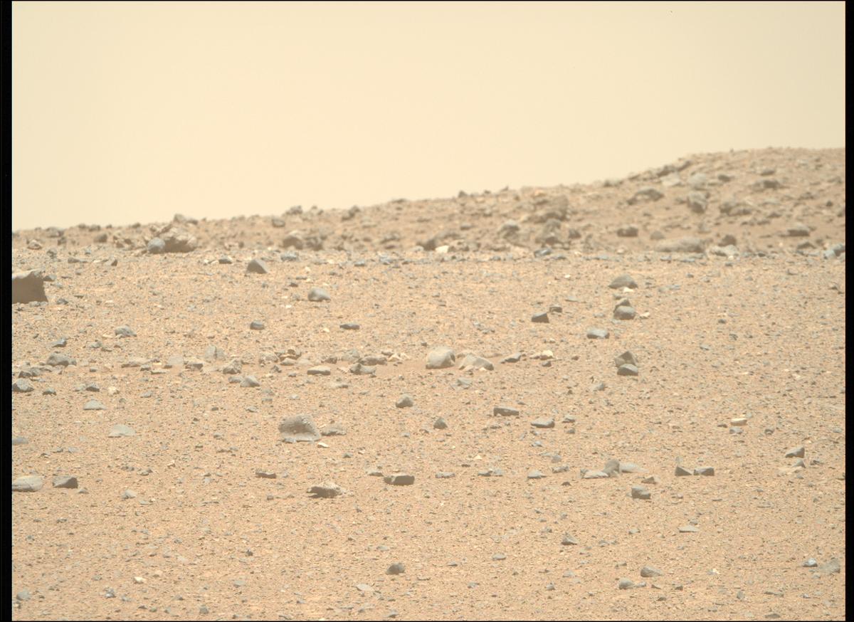 This image was taken by MCZ_RIGHT onboard NASA's Mars rover Perseverance on Sol 1448