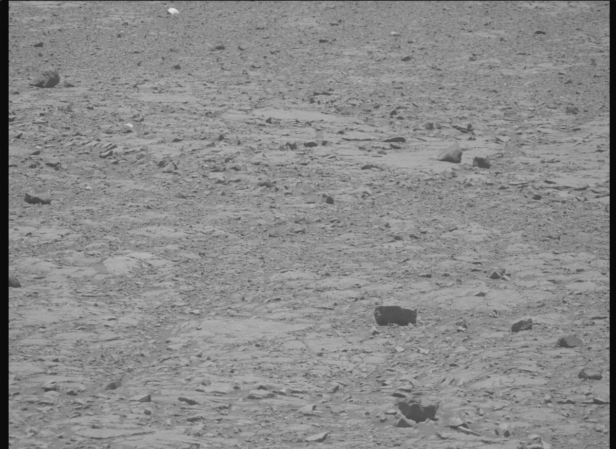 This image was taken by MCZ_RIGHT onboard NASA's Mars rover Perseverance on Sol 1448