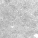 View image taken on Mars, Mars Perseverance Sol 1448: Right Mastcam-Z Camera