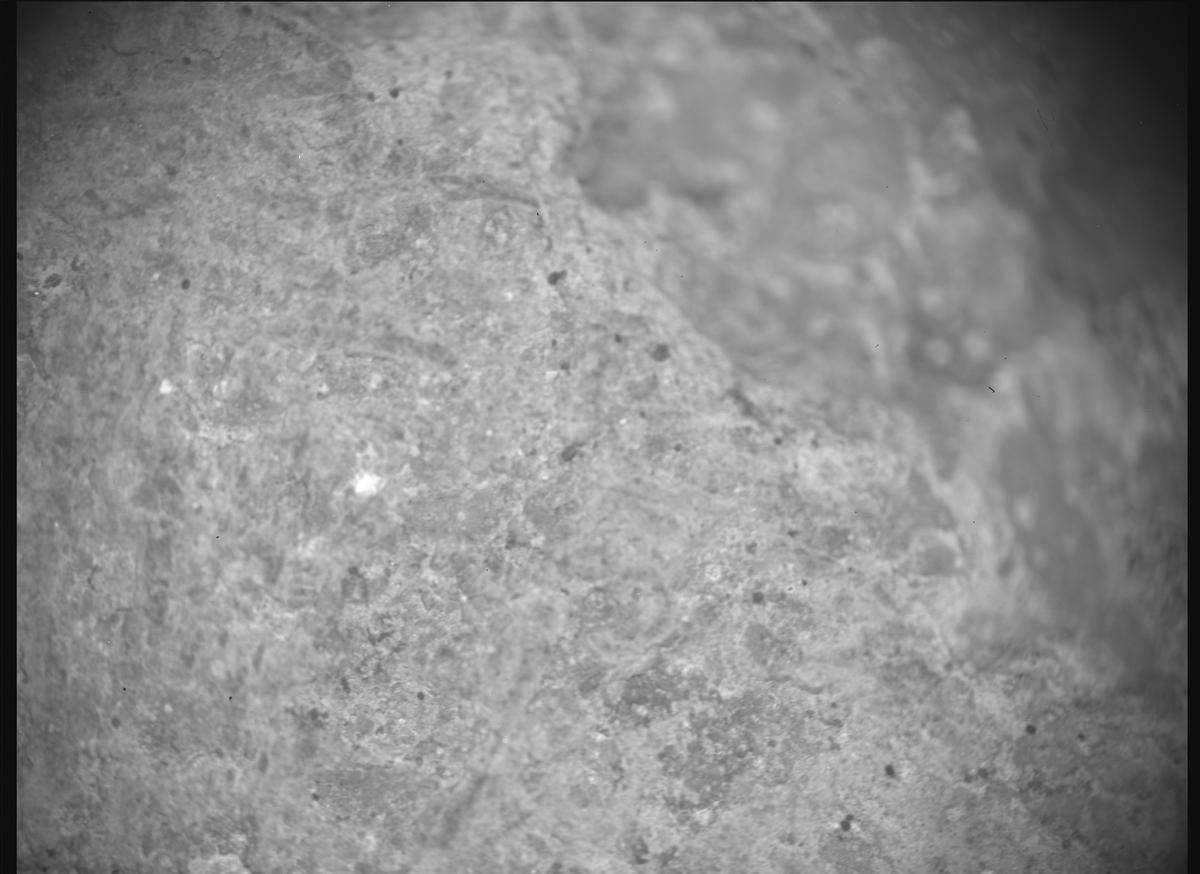 This image was taken by SHERLOC_ACI onboard NASA's Mars rover Perseverance on Sol 1449