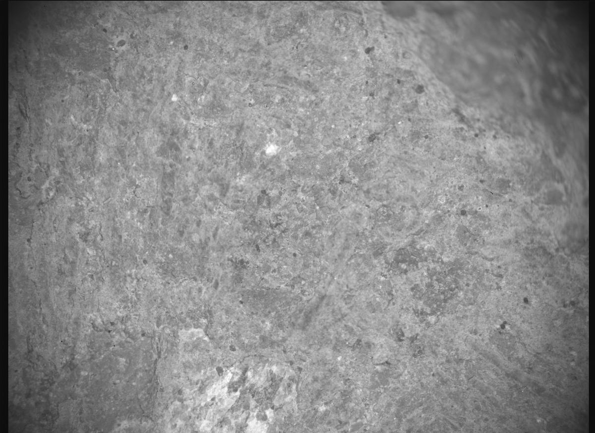 This image was taken by SHERLOC_ACI onboard NASA's Mars rover Perseverance on Sol 1449