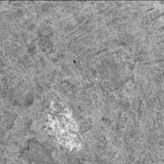 View image taken on Mars, Mars Perseverance Sol 1449: WATSON Camera 