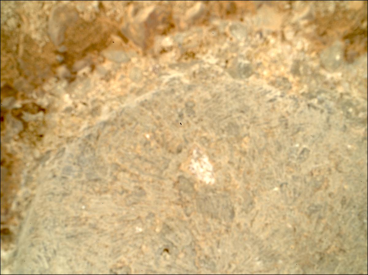 This image was taken by SHERLOC_WATSON onboard NASA's Mars rover Perseverance on Sol 1449