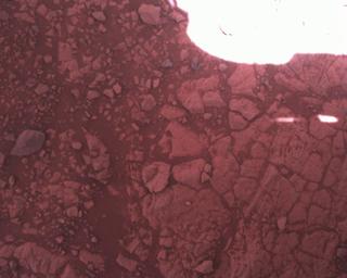 View image taken on Mars, Mars Perseverance Sol 1451: Rover Down-Look Camera