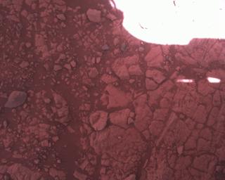 View image taken on Mars, Mars Perseverance Sol 1451: Rover Down-Look Camera