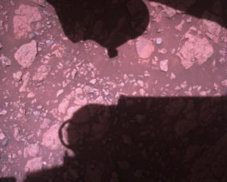 View image taken on Mars, Mars Perseverance Sol 1451: Rover Down-Look Camera