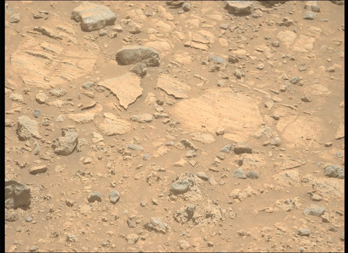 This image was taken by MCZ_LEFT onboard NASA's Mars rover Perseverance on Sol 1452