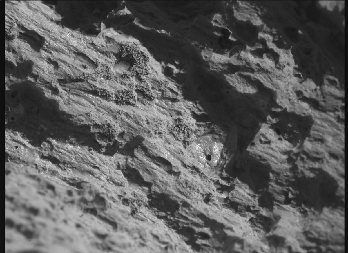 This image was taken by SHERLOC_WATSON onboard NASA's Mars rover Perseverance on Sol 1453