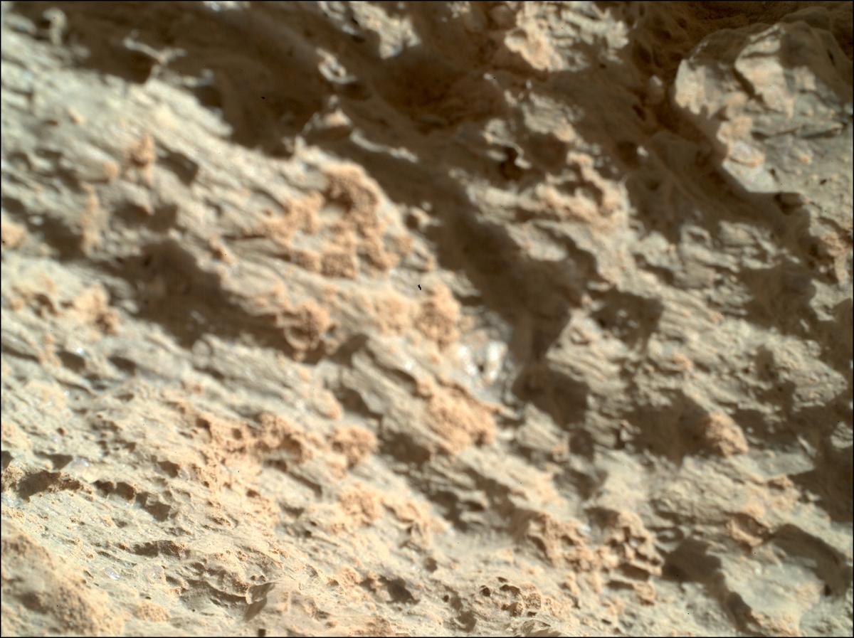 This image was taken by SHERLOC_WATSON onboard NASA's Mars rover Perseverance on Sol 1453
