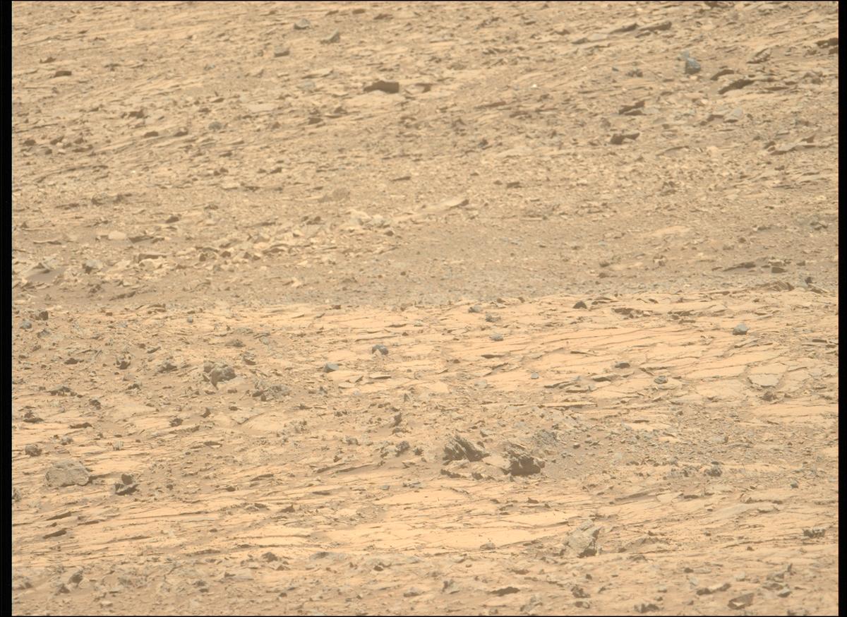 This image was taken by MCZ_LEFT onboard NASA's Mars rover Perseverance on Sol 1453