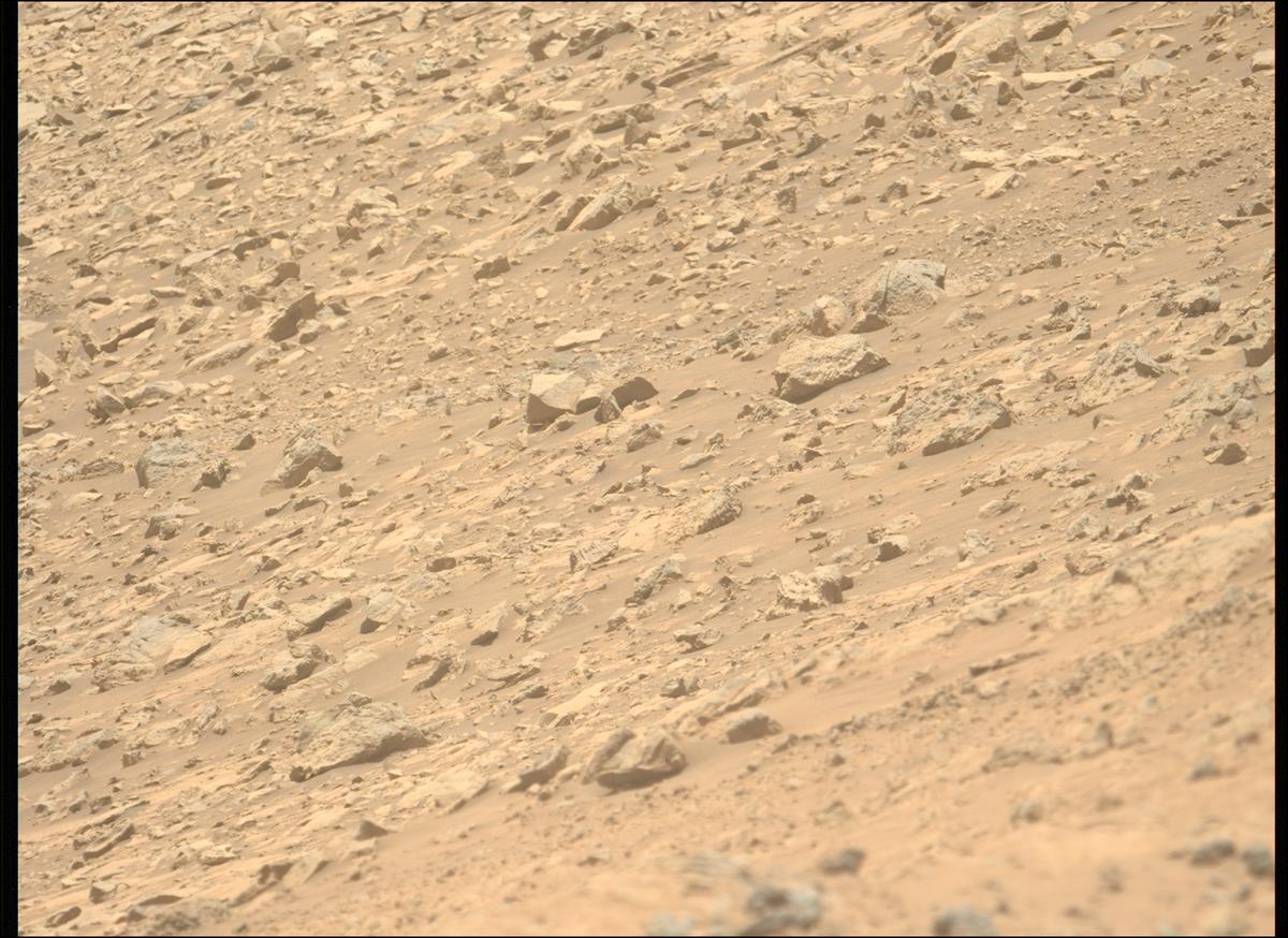 This image was taken by MCZ_LEFT onboard NASA's Mars rover Perseverance on Sol 1453