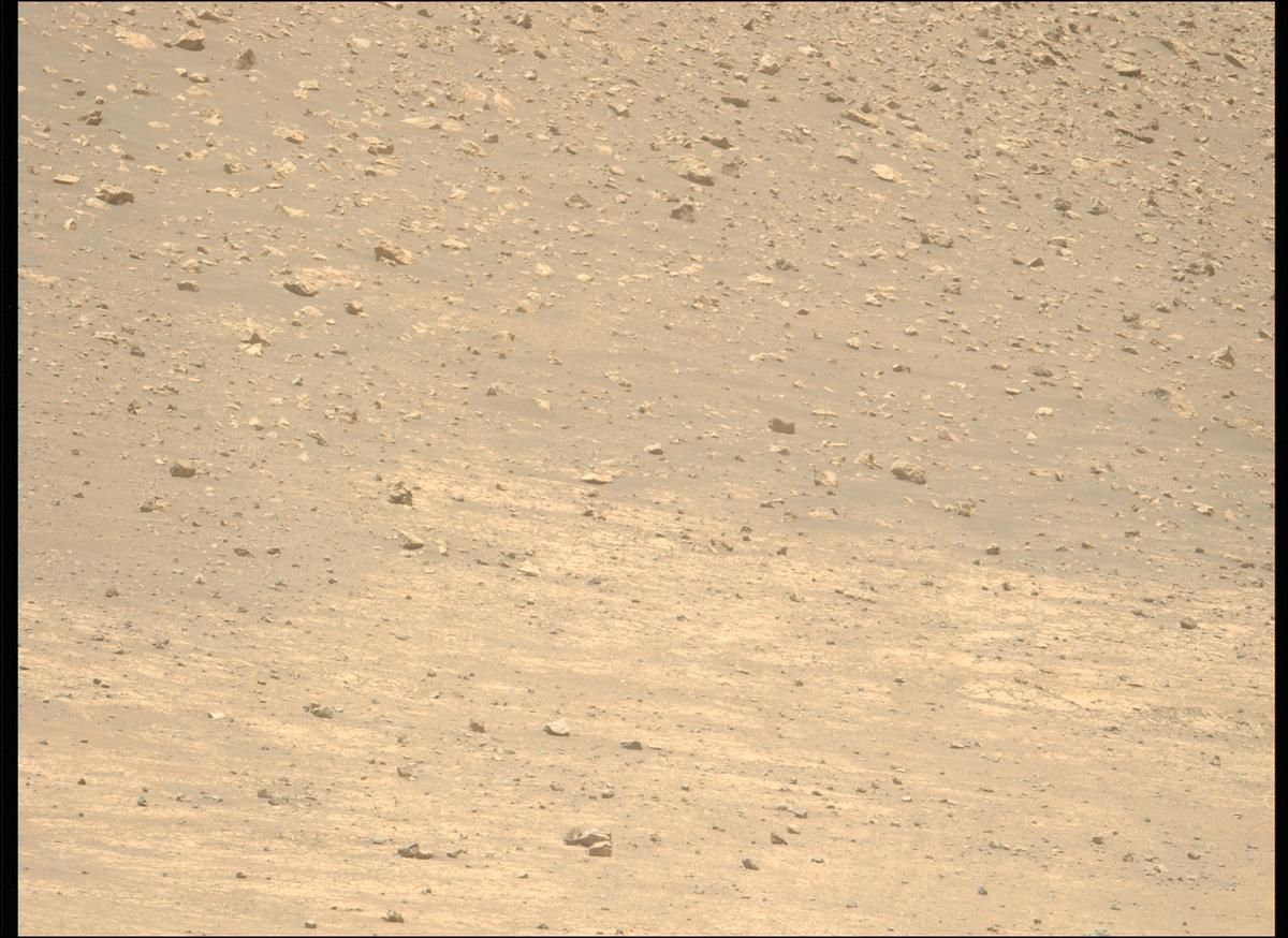 This image was taken by MCZ_LEFT onboard NASA's Mars rover Perseverance on Sol 1453