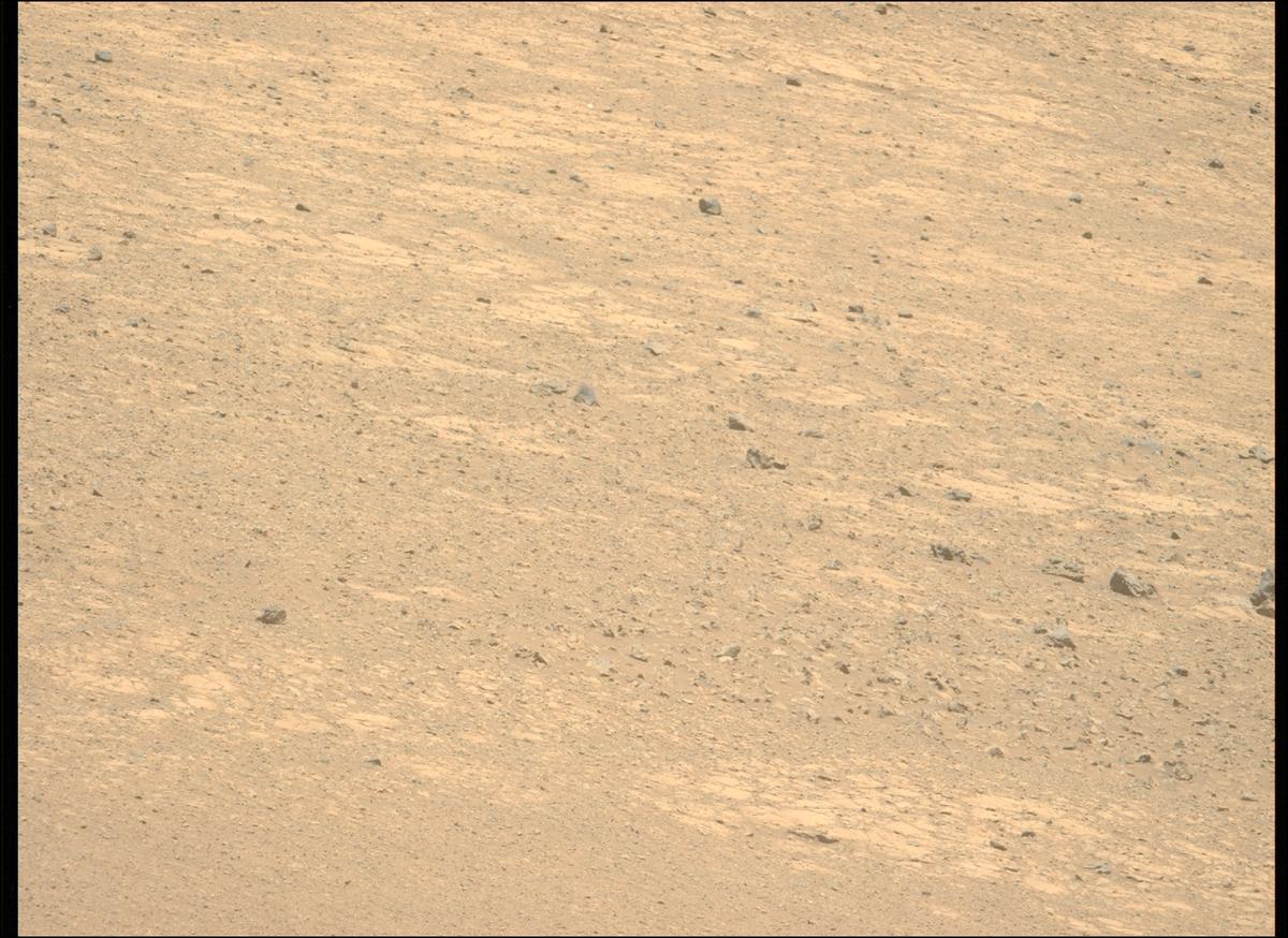 This image was taken by MCZ_LEFT onboard NASA's Mars rover Perseverance on Sol 1453