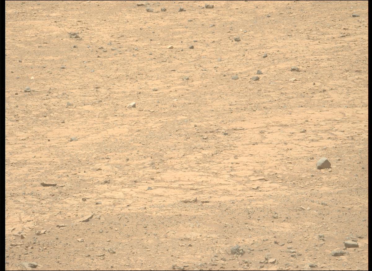 This image was taken by MCZ_LEFT onboard NASA's Mars rover Perseverance on Sol 1453